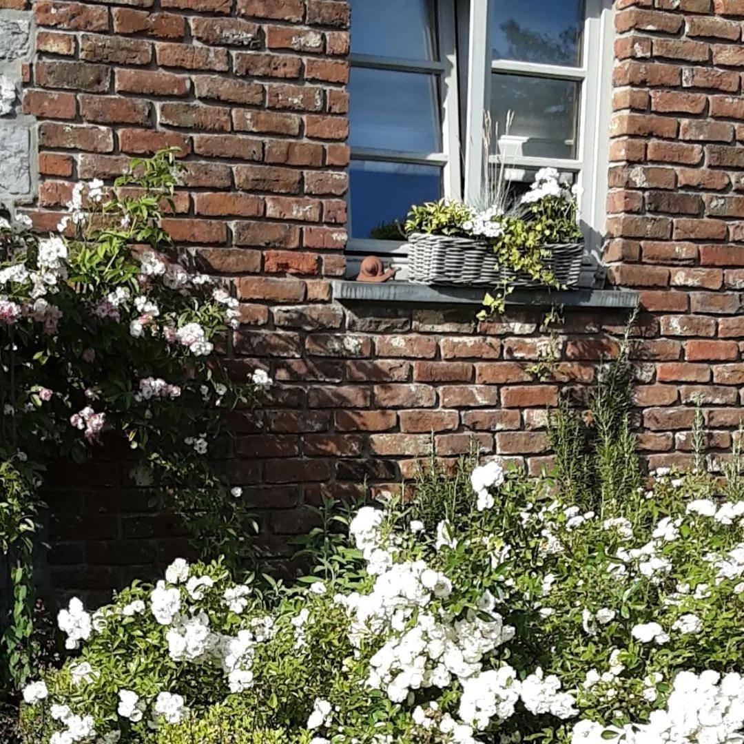 A L'Ombre Du Noyer Bed & Breakfast Fernelmont Exterior photo